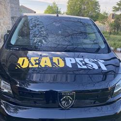 Dead pest, L'Absie - Horaires d'ouverture