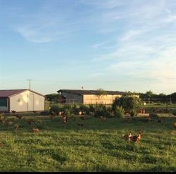 La Ferme des Ilots, Villiers-le-Morhier - Horaires d'ouverture