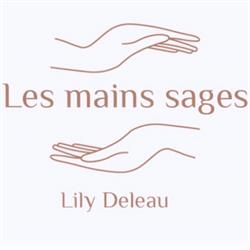 Lily Deleau, Bourg-lès-Valence - Horaires d'ouverture