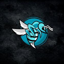 Hornets Factory - Functional Fitness Club, Mazamet - Horaires d'ouverture