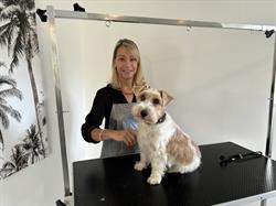 Beauty Dog 40, Ondres - Horaires d'ouverture