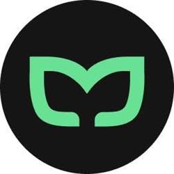 Mintfull Agency, Lyon - Horaires d'ouverture