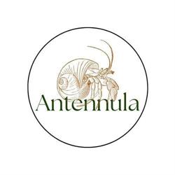 Antennula, Boulay-Moselle - Horaires d'ouverture