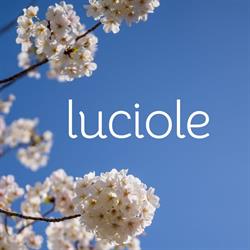 Luciole - espace pluridisciplinaire de développement personnel & de bien-être, Besançon - Horaires d'ouverture