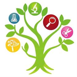 Arborésciences, Tours - Horaires d'ouverture