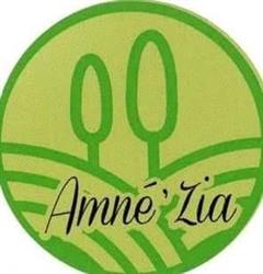 AMNÉ'ZIA CBD SHOP PLÉRIN, Plérin - Horaires d'ouverture