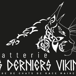 Chatterie des derniers vikings, Secondigny - Horaires d'ouverture