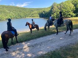 Domaine Danalou, Marmagne - Horaires d'ouverture