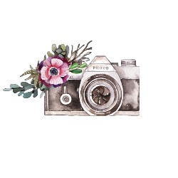 Aurelie velez photographie, Dévillac - Horaires d'ouverture
