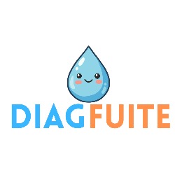 DiagFuite, Toulouse - Horaires d'ouverture