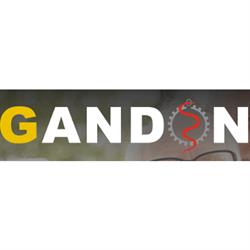 Gandon, Pau - Horaires d'ouverture