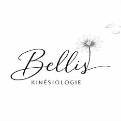 Bellis kinésiologie, Châteauroux - Horaires d'ouverture