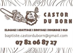 CASTOR DU BORN, Parentis-en-Born - Horaires d'ouverture