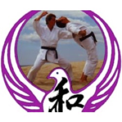 Ju-jutsu Valence Arts Martiaux - Self-defense Sport Club, - Horaires d'ouverture