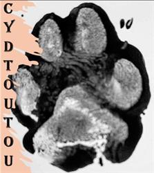 CYD Toutou, Coulgens - Horaires d'ouverture