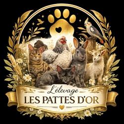 L’élevage Les Pattes d'or, Chazelles-sur-Lyon - Horaires d'ouverture