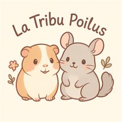 La Tribu Poilus, Thiers - Horaires d'ouverture