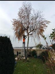 Entreprise Cateau, Tonnay-Charente - Horaires d'ouverture