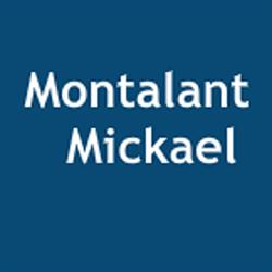 Brocanteur Montalant Mickael, Monistrol-sur-Loire - Horaires d'ouverture