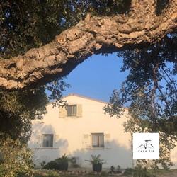 CASA TIB, Prunelli-di-Fiumorbo - Horaires d'ouverture