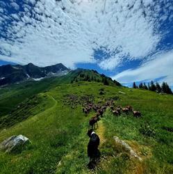 La chevrerie des Combettes, La Léchère - Horaires d'ouverture