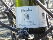 Domaine de Peyres-Combe, Andillac - Horaires d'ouverture