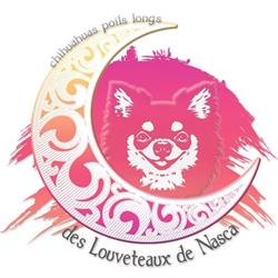Elevage des Louveteaux de Nasca - Chihuahuas Poils Longs LOF (LDN SAS), Poyartin - Horaires d'ouverture