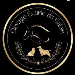 Elevage Ecurie Du Galain - Emanuelle DUBOURG, Questembert - Horaires d'ouverture