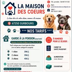 Pension La maison des cœurs, Surbourg - Horaires d'ouverture