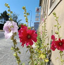 Ma quincaillerie, Brizambourg - Horaires d'ouverture