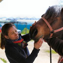Diane de Reinach-Hirtzbach - Dentisterie Equine - Technicien Dentaire Equin Dijon - Horaires d'ouverture