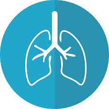 Plateforme de rééducation des pathologies respiratoires, Paris - Horaires d'ouverture