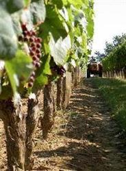 Domaine de vignerac, Casseuil - Horaires d'ouverture