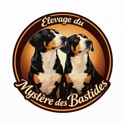 Elevage bouvier entlebuch du Mystère des Bastides, Monflanquin - Horaires d'ouverture