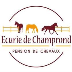 Écurie de Champrond Scea Guyonnet, Vernou-la-Celle-sur-Seine - Horaires d'ouverture