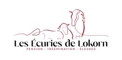Les Écuries de Lokorn, Quéménéven - Horaires d'ouverture