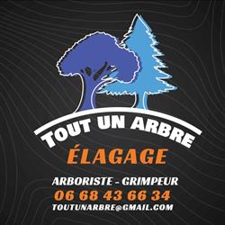 Tout un arbre, Gaillac - Horaires d'ouverture