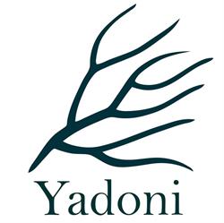 Yadoni Le Petit Atelier - Céramiques, Nantes - Horaires d'ouverture