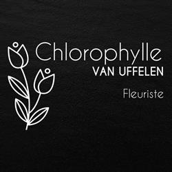Chlorophylle Van Uffelen, Châteauroux - Horaires d'ouverture