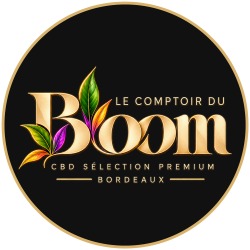 Le Comptoir du Bloom, Bordeaux - Horaires d'ouverture