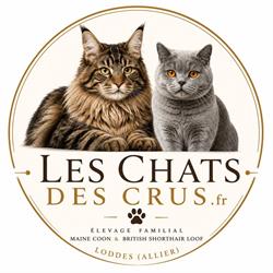 Les chats des Crus, Loddes - Horaires d'ouverture